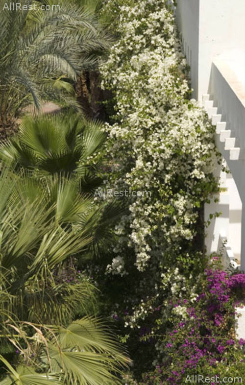 Vincci Djerba Hotel 7